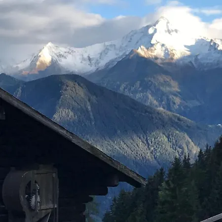 Goass'n Alm Zillertal 別荘 ヒパッハ