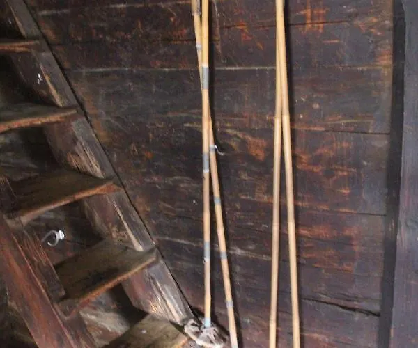 Ferienhaus Goass'n Alm Zillertal *