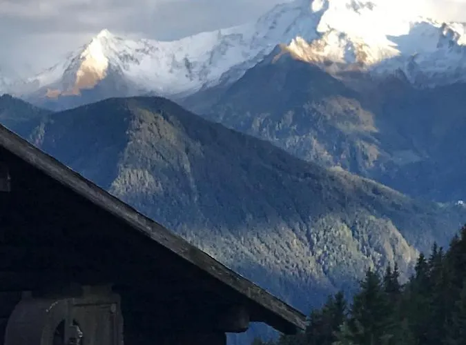 Goass'n Alm Zillertal Ferienhaus Hippach