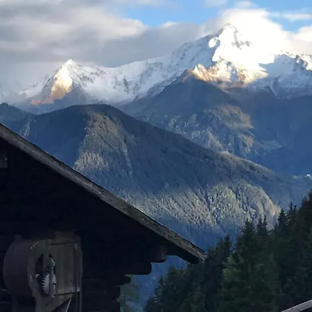 Goass'n Alm Zillertal Ferienhaus Hippach